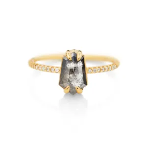 1.5 ct Hexagon Salt and Pepper Diamond Ring