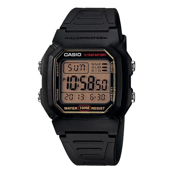 Casio Black Resin Strap Black Dial Quartz Watch for Gents - W800HG-9AVDF