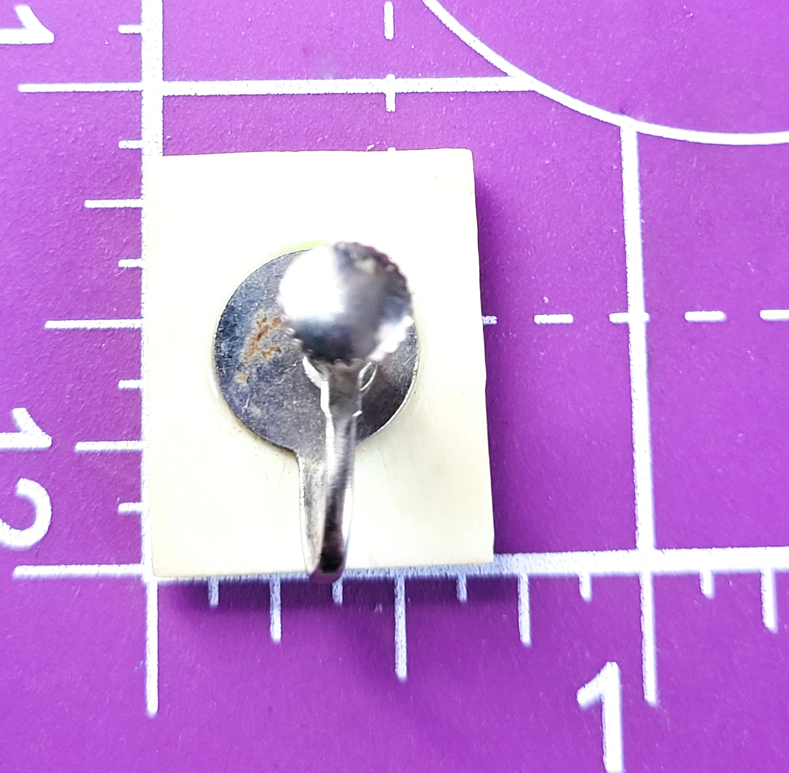 Chinese scrimshaw garden painted vintage bone screw back earrings