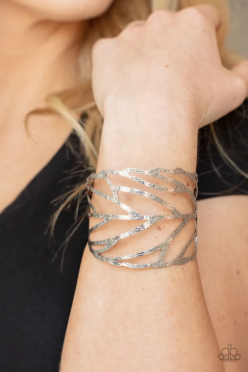 FLOCK, Stock, & Barrel Silver Paparazzi Bracelet