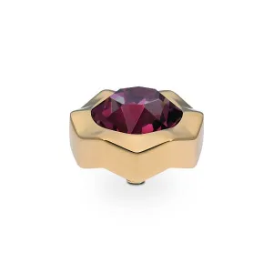 Qudo Nemoli 13mm Gold Topper - Amethyst