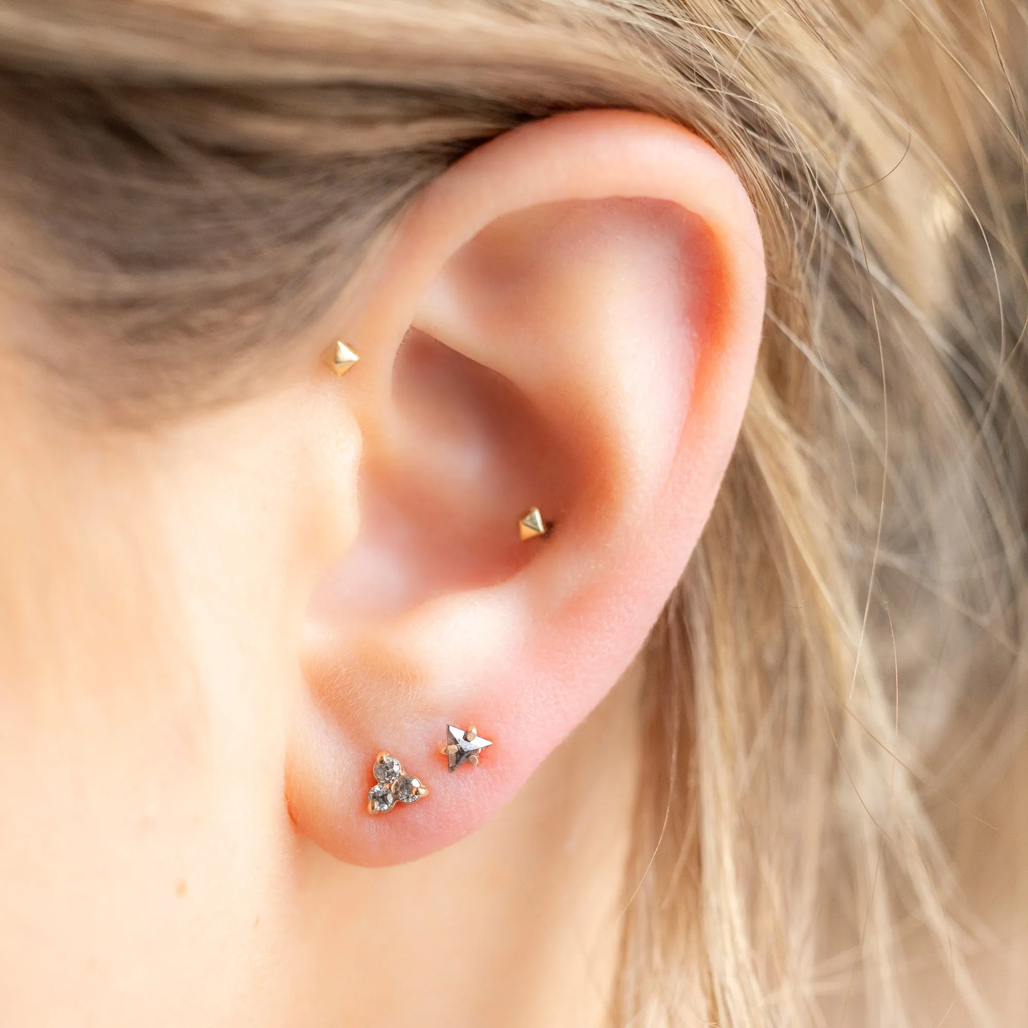 The Salt and Pepper Diamond Cluster Stud Earrings | 14K Yellow Gold