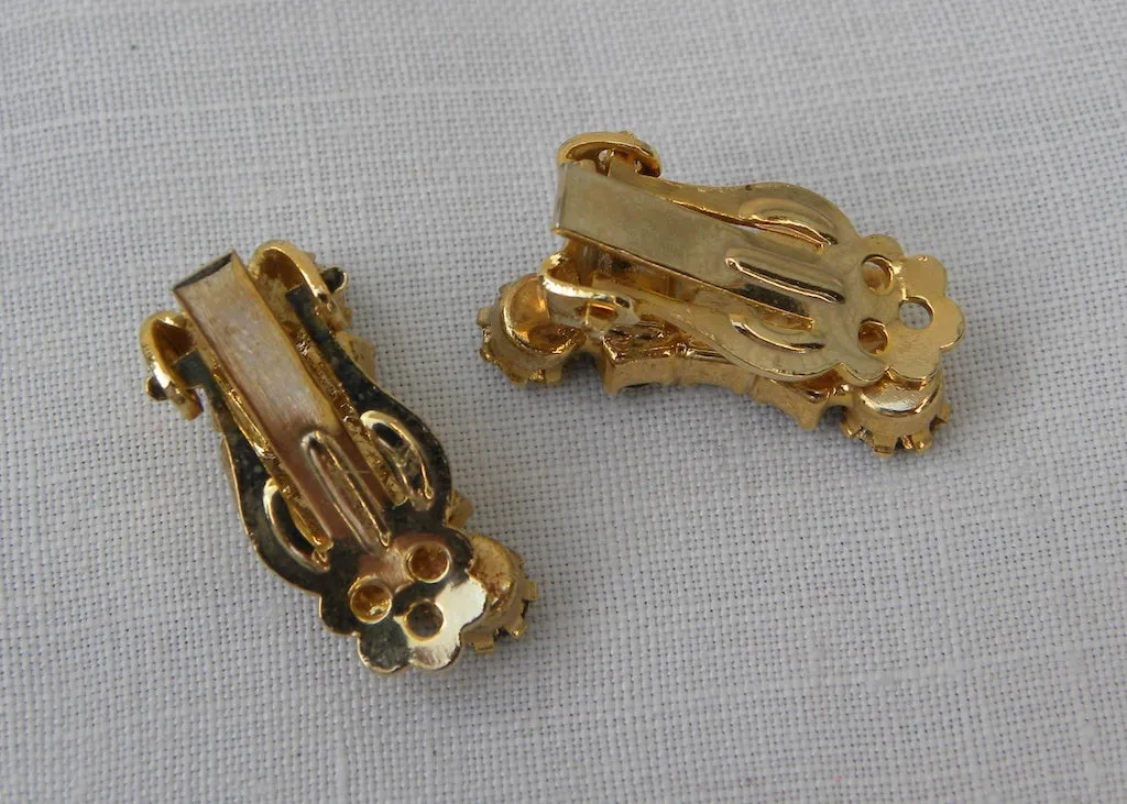 Vintage Brown and Blue Rhinestone Pin and Earring Set