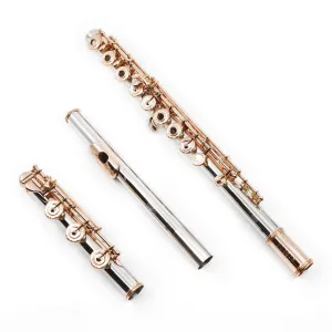 William S. Haynes Handmade Custom Flute in Platinum - New